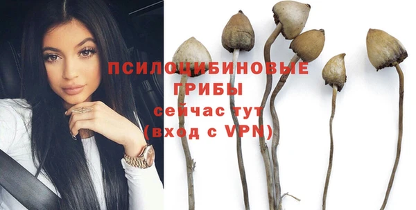 соль ск Ладушкин