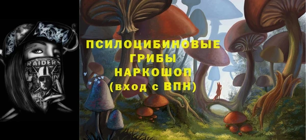 соль ск Ладушкин